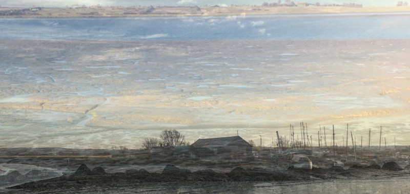 Cruising the Estuary