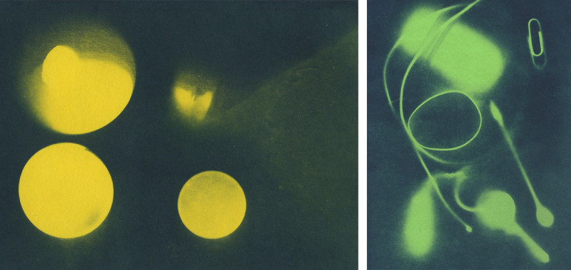 Cyanotype Workshops with Southend Beach Rubbish Project