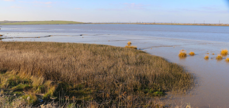 Darent Valley Confluences to Gravesend