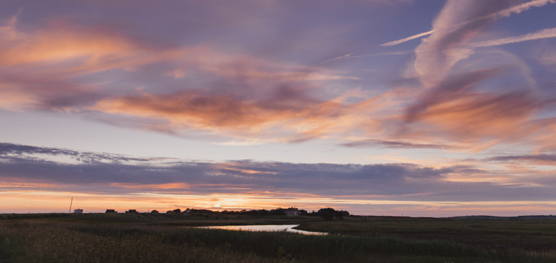 Elmley Nature Reserve