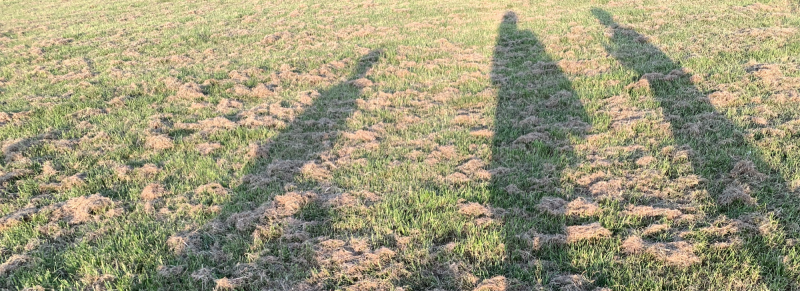 Estuary Adventures: Walk 1: Seafront
