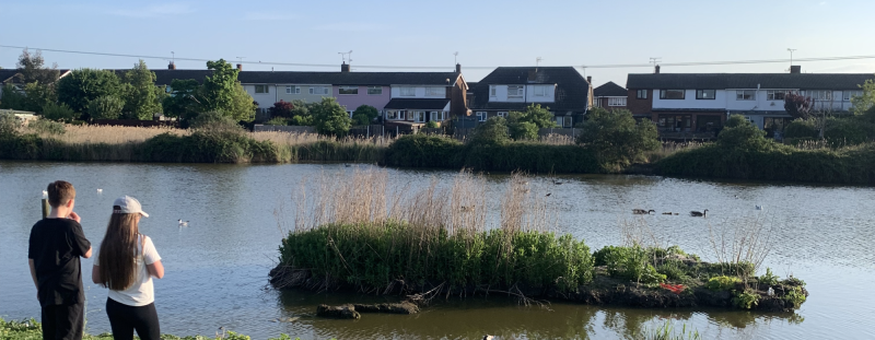 Estuary Adventures: Walk 2: Lake