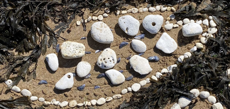 Estuary Imaginarium: Tidal treasures from the Thames