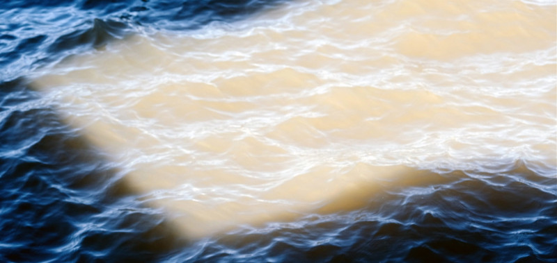 Grain