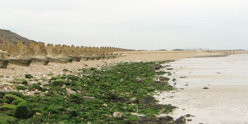 IMPEKA presents Confluence #2: Estuary