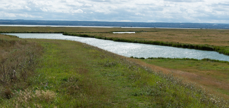 In the Landscape