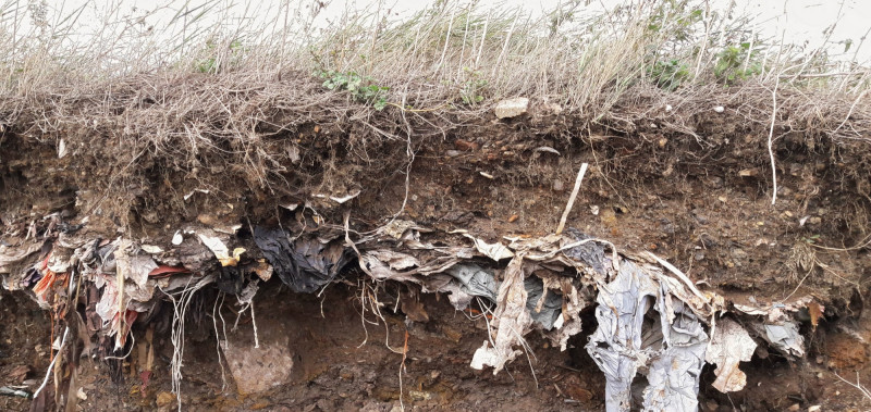 Landfill Audio Report
