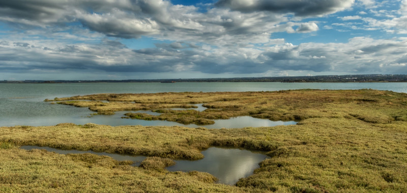 Landscape and Wildlife Photography Workshop - Hoo Marshes