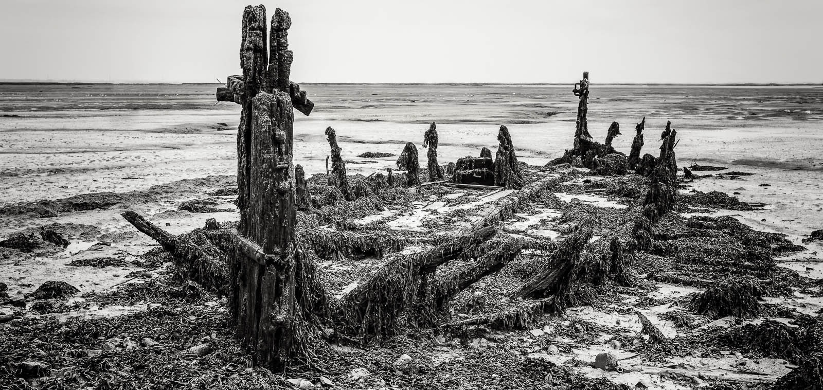 Lower Halstow - Landscape Photography Workshop