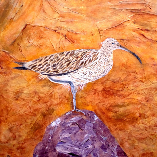 Marshy Mud Flats and the Call of the Curlew