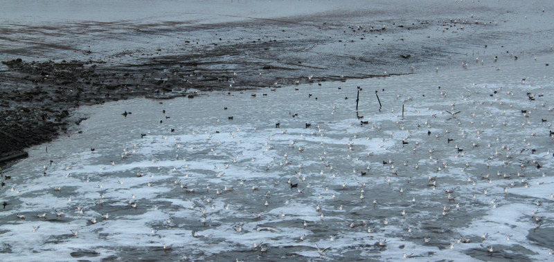 Outfall