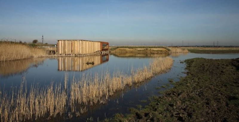 Rainham RSPB