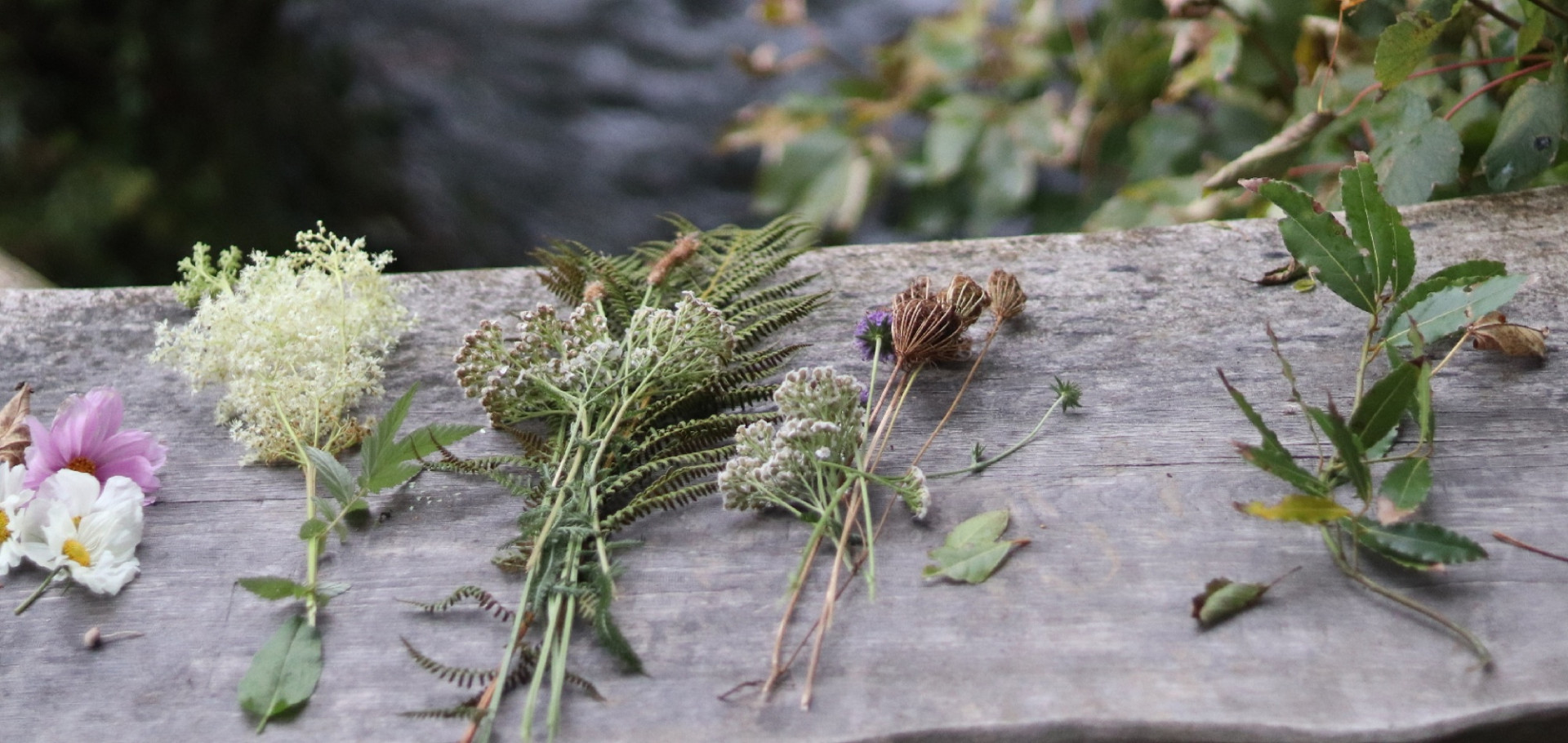 The Commons Way