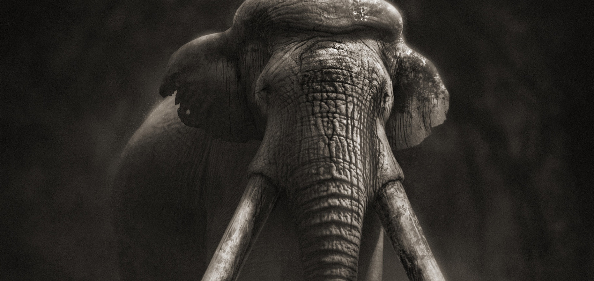 The Ebbsfleet Elephant