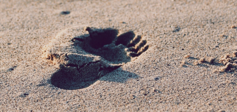 The Rising Tide: A Story Trail