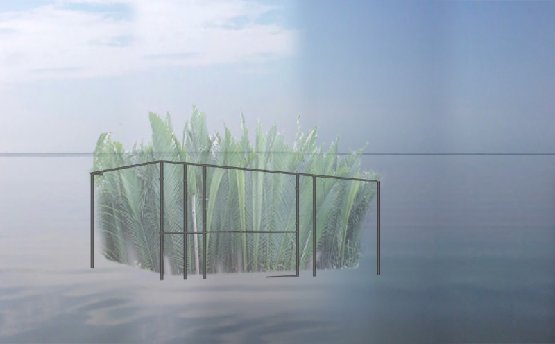 Thurs 3 Jun - 19:00-21:00 - Artist Talk: Mary Mattingly