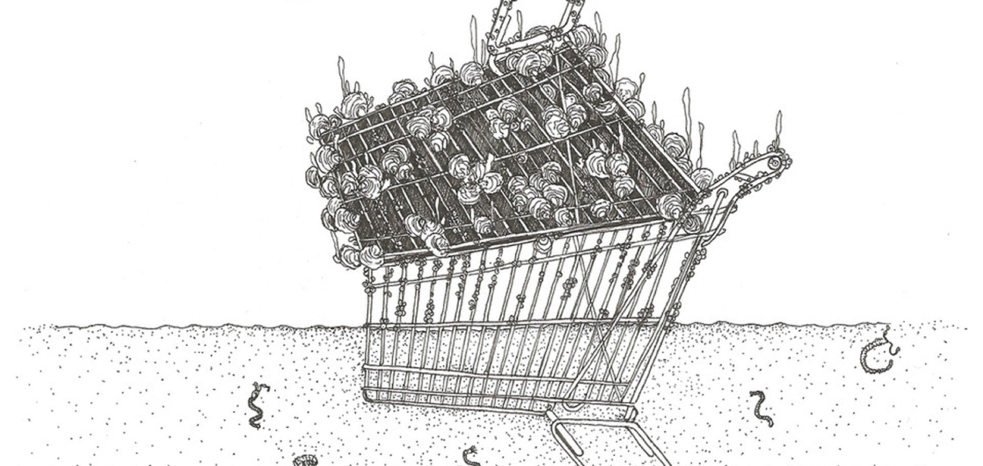 Trolley Reef