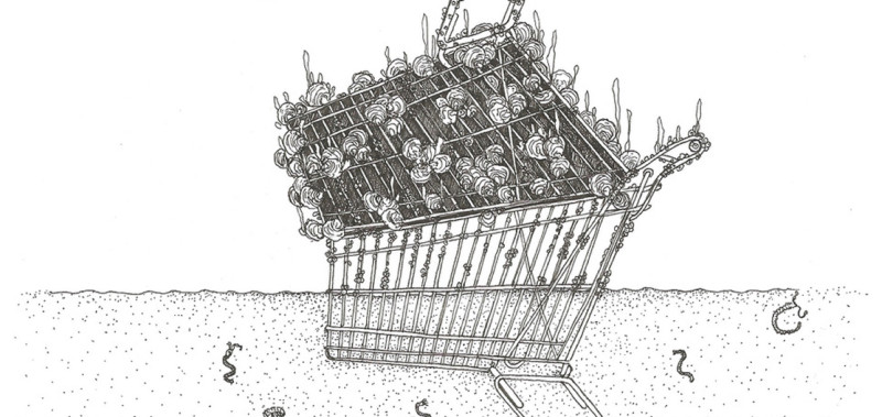 Trolley Reef