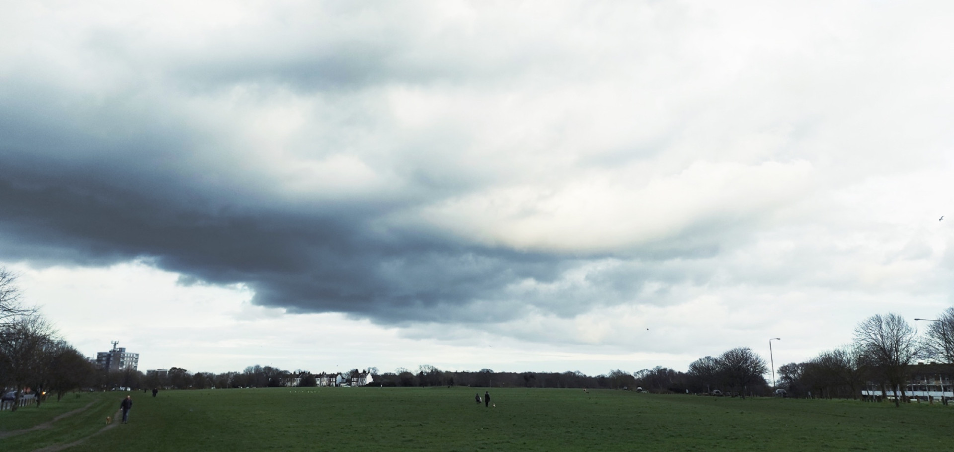 Under Big Skies