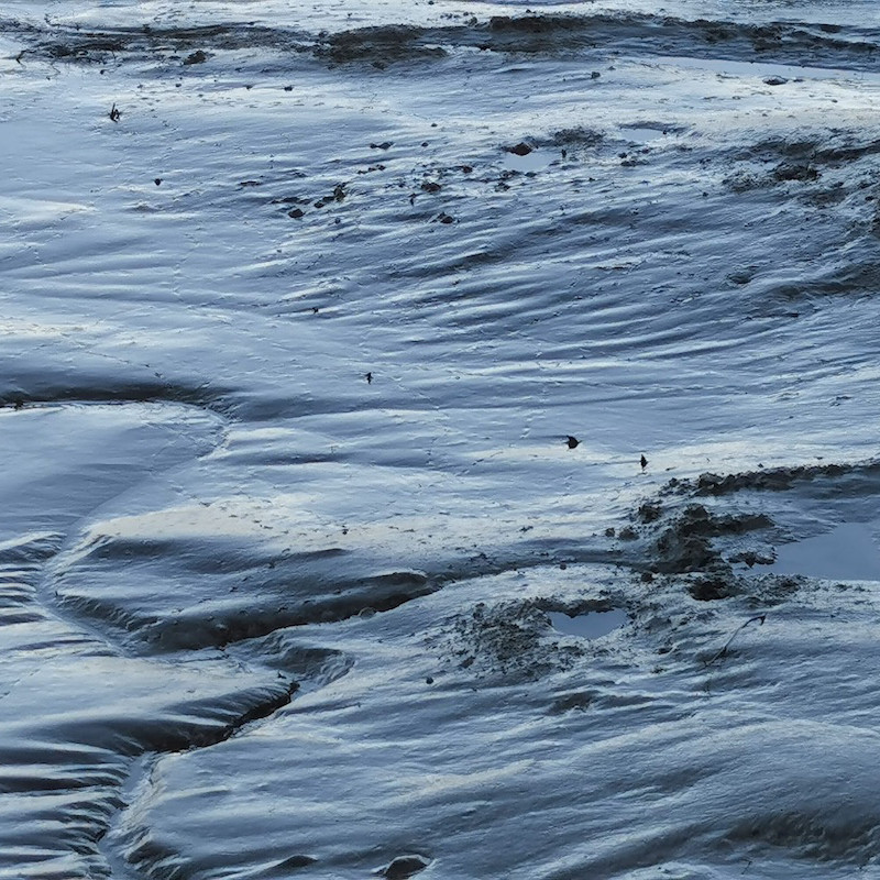 Without Boundaries - Exhibition