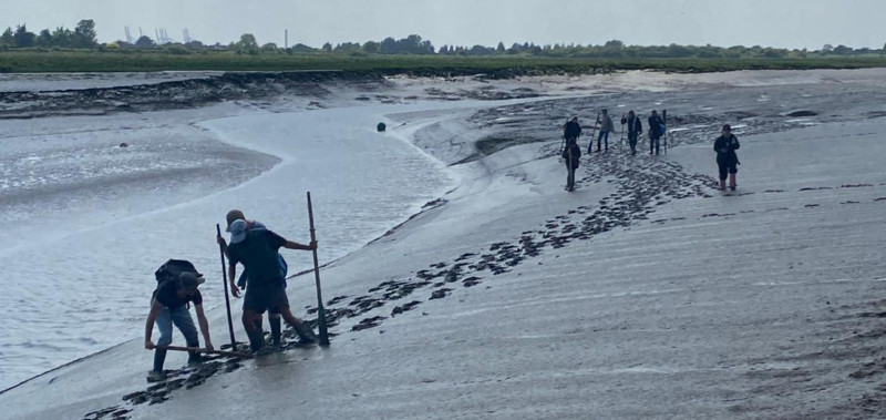A mudwalk along Benfleet Creek