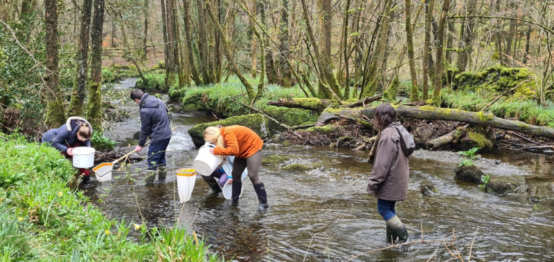 ARISE Riverfly writers call out