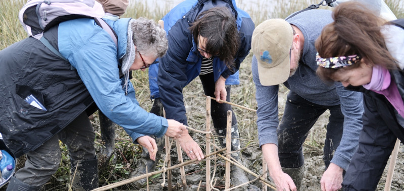 Get involved - Estuary 2025