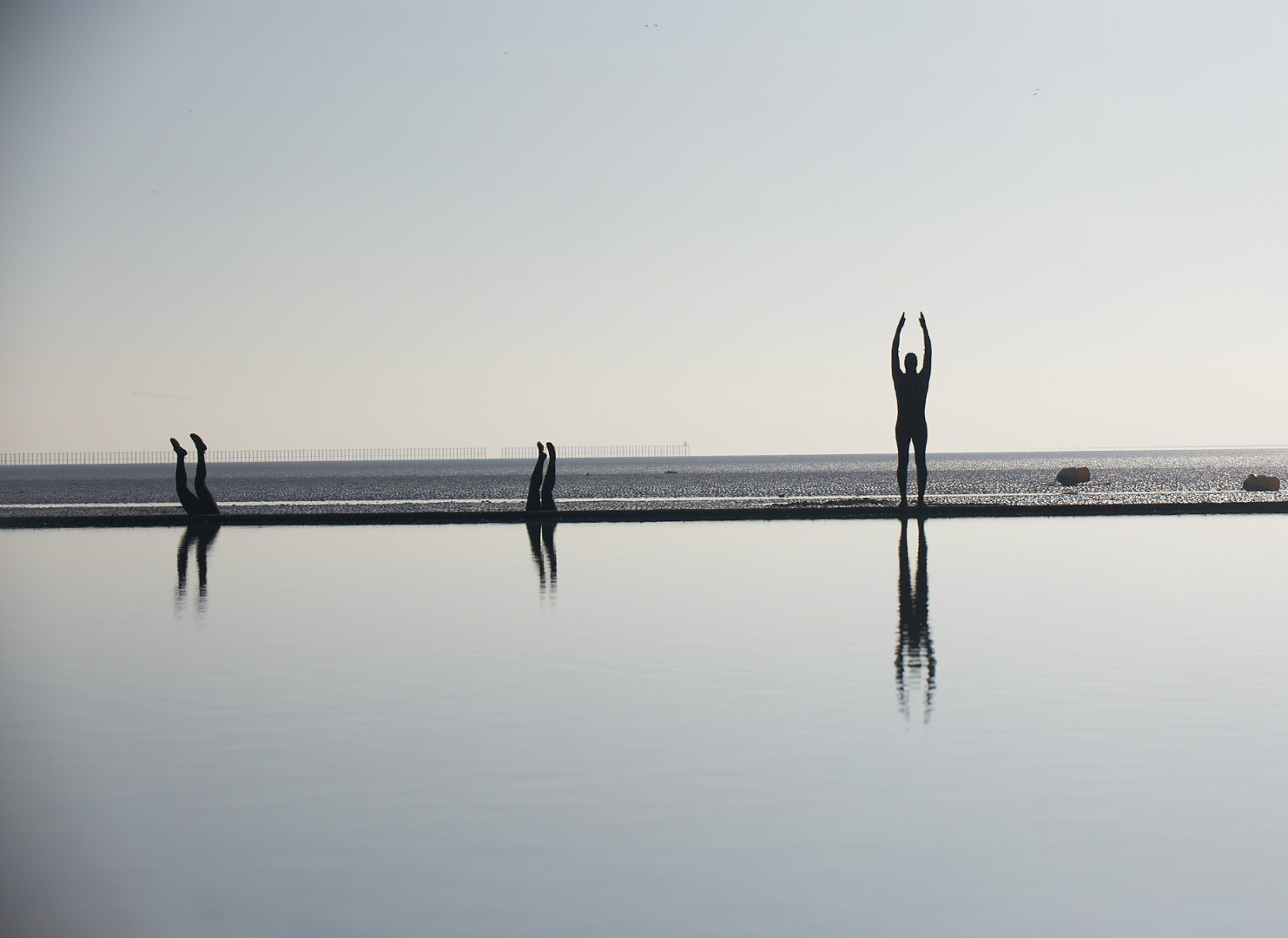 SILT: Call Out for Open Water Swimmers