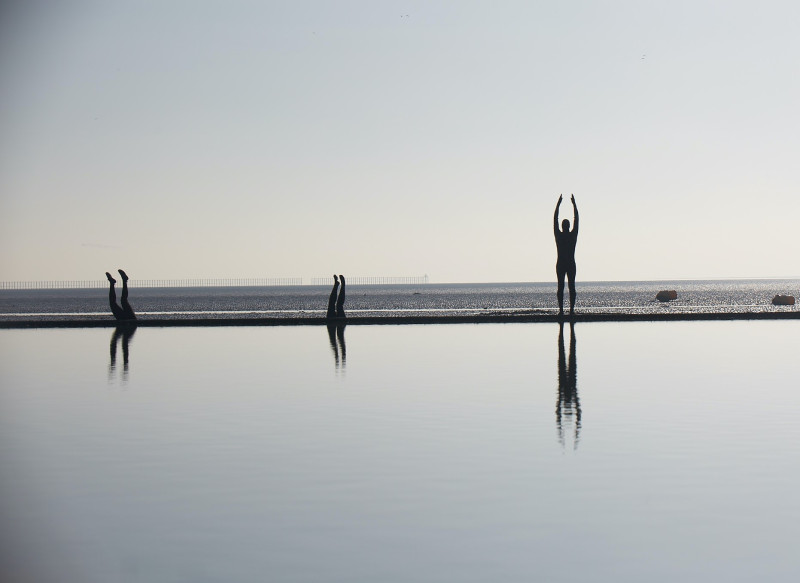 SILT: Call Out for Open Water Swimmers
